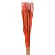Typha indiai narancs 35db-os