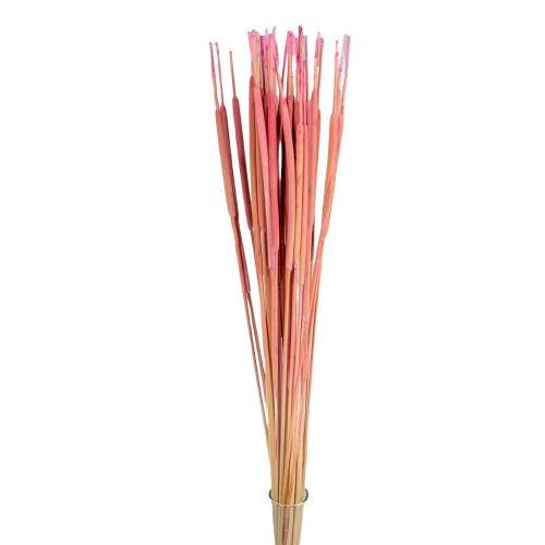 Typha indiai feh.rózsaszín 35db-osdkg/csom