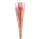 Typha indiai feh.rózsaszín 35db-osdkg/csom
