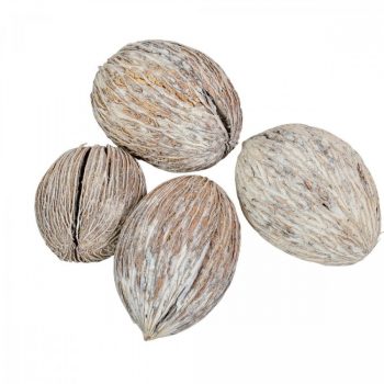 Mintola mini zúzmarás 12db-os