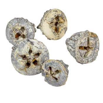 Eukalyptus gomb zúzmarás 15dkg/csom