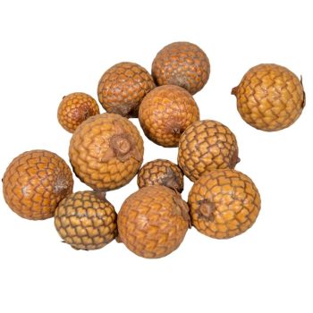 Pálma mag gömbölyű natúr 15dkg/csomag