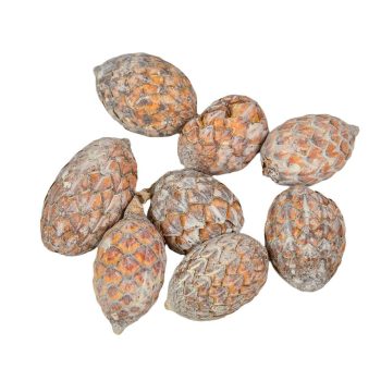 Pálma mag zúzmarás 13dkg/csom