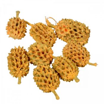 Casuarina falfestékes barack 17dkg/csom