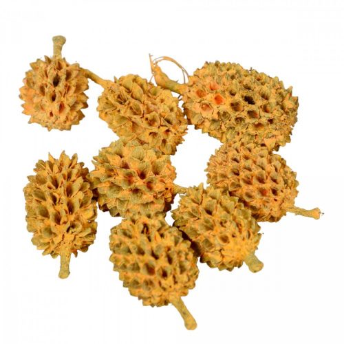 Casuarina falfestékes barack 17dkg/csom