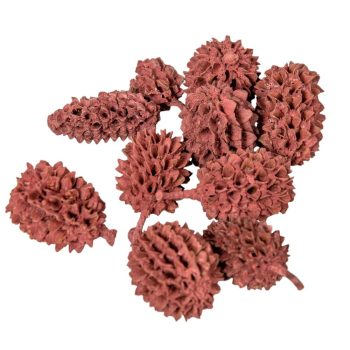 Casuarina falfestékes bordó 17dkg/cosm