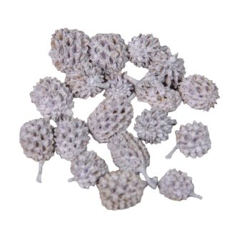 Casuarina falfestékes lila 17dkg/csom