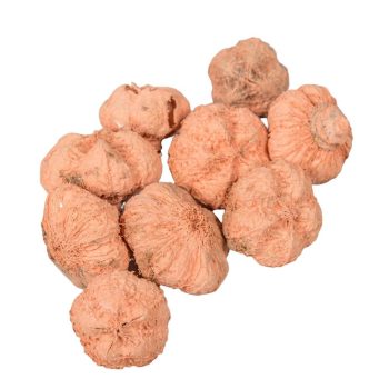 Fokhagyma termés falfestékes narancs 10dkg/csomag