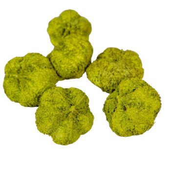 Fokhagyma termés olíva 11dkg/csomag