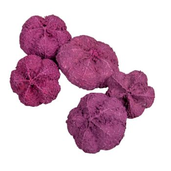 Fokhagyma termés falfestékes szeder 11dkg/csomag