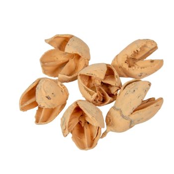 Bakuli falfestékes barack 16dkg/csomag