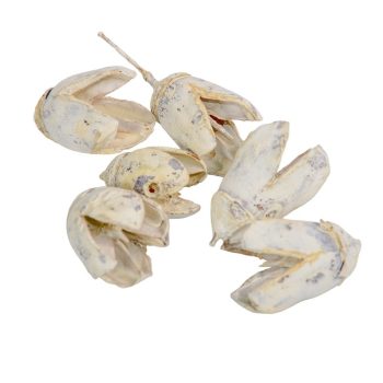 Bakuli falfestékes falfestékes fehér 16dkg/csom