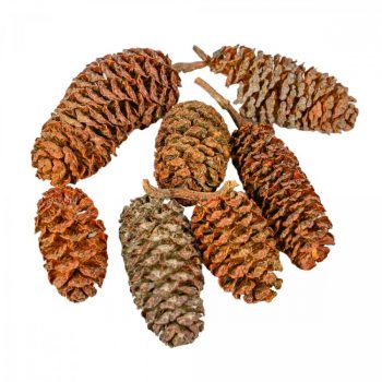 Éger indiai natúr 17dkg/csom