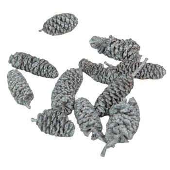 Éger indiai ezüst 10dkg/csom