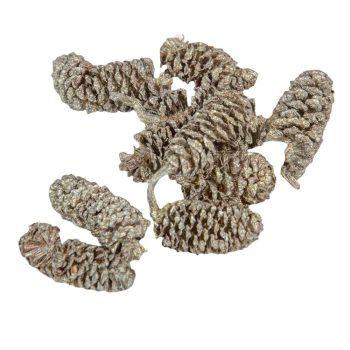 Éger indiai pezsgő 10dkg/csom