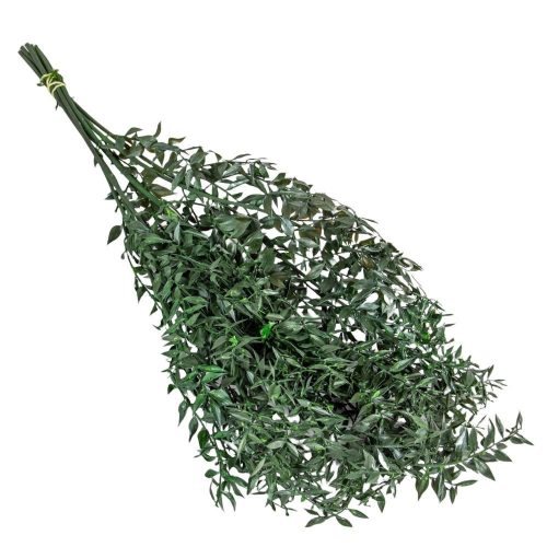 Ruscus vil.zöld 18dkg/csom