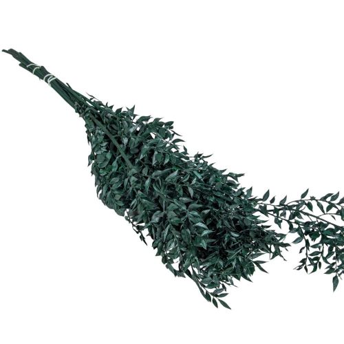 Ruscus söt.zöld 18dkg/csom