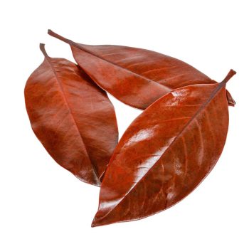 Magnolia levél prep. Narancs 15dkg/csomag