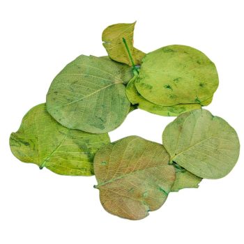 Moneta levél világoszöld 8,5dkg/csom