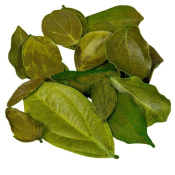 Bársony levél mohazöld 6dkg/csom