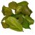Bársony levél mohazöld 6dkg/csom