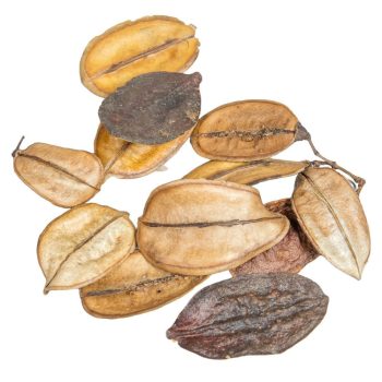 Asa Barata/Őznyelv mini natúr 10dkg/csom