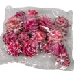Plumosum fej rózsaszín 10dkg/csom
