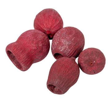 Eukalyptus/Bell Gum piros 15dkg/csom