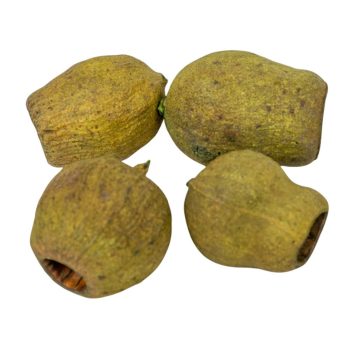 Eukalyptus/Bell Gum világos zöld 15dkg/csom