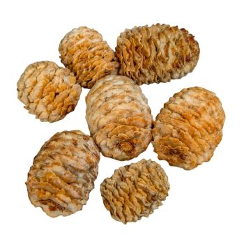 Meridianum krém 16dkg/csomag