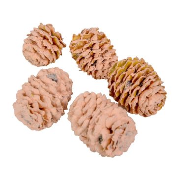 Meridianum barack 16dkg/csomag