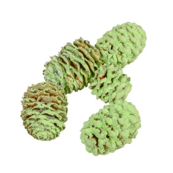 Meridianum világoszöld 16dkg/csomag