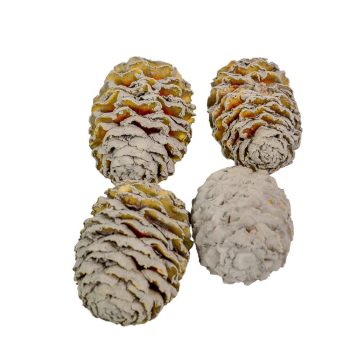 Meridianum szürke 16dkg/csomag