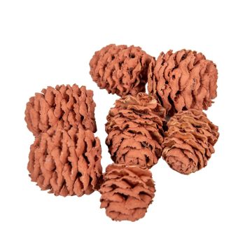 Meridianum világosbarna 16dkg/csomag