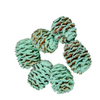 Meridianum aqua 16dkg/csomag