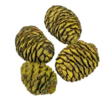 Murii fej vil.zöld 12dkg/csom