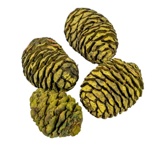 Murii fej vil.zöld 12dkg/csom