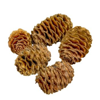 Sabulosum natúr 16dkg/csom