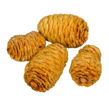 Sabulosum krém 13dkg/csom