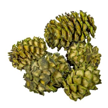 Salignum világoszöld 10dkg/csomag