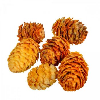 Salignum krém 10dkg/csom