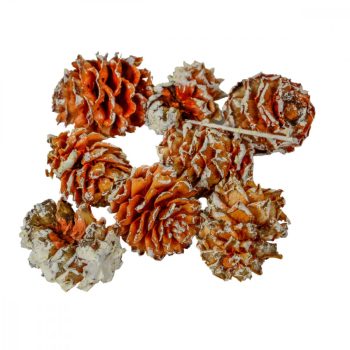 Salignum havas 9dkg/csomag