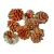 Salignum havas 9dkg/csomag