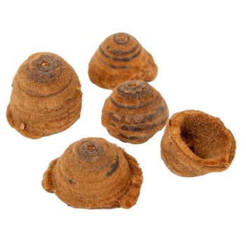 Tölgy kupak csíkos natúr 14dkg/csomag