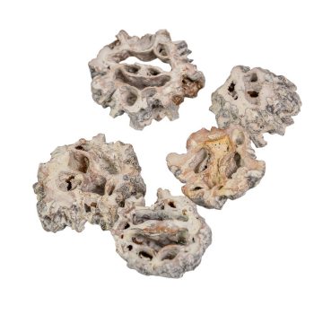 Fekete dió szelet zúzmarás 12dkg/csom