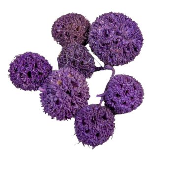 Ámbrafa termés kínai lila 6dkg/csom