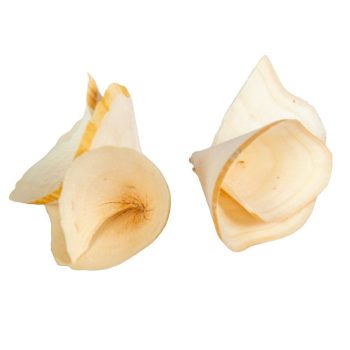 Fa tölcsér virág 5cm natúr 9dkg/csomag