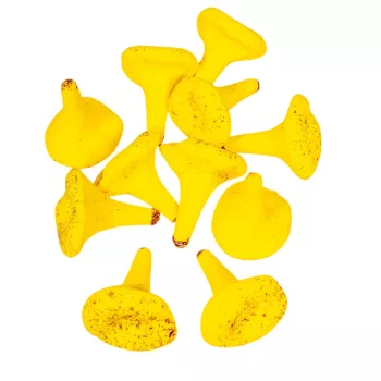 Róka gomba sárga 5,5cm 11db-os csomag