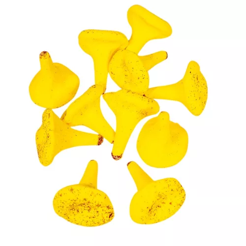 Róka gomba sárga 5,5cm 11db-os csomag