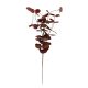 Leveles ág bordó 31cm